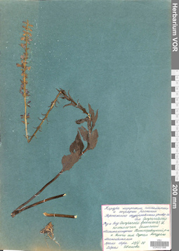 VOR 0021998