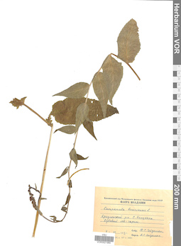 VOR 0021980