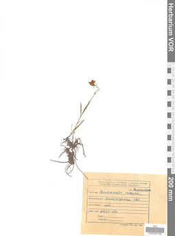 VOR 0022196