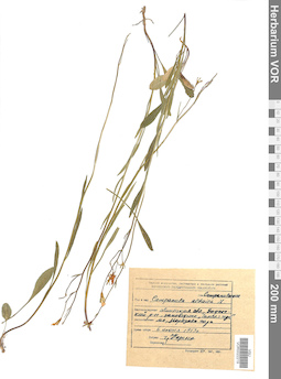 VOR 0022219