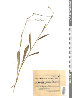 VOR 0022214