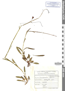 VOR 0022210