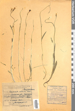 VOR 0022209