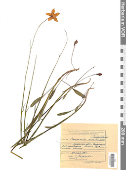 VOR 0022206