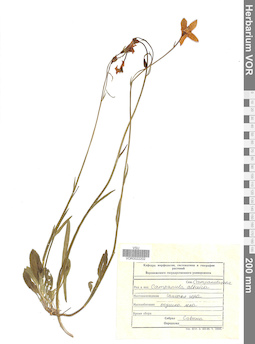 VOR 0022202
