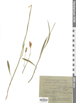 VOR 0022198