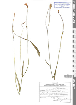 VOR 0022197