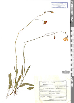 VOR 0022193