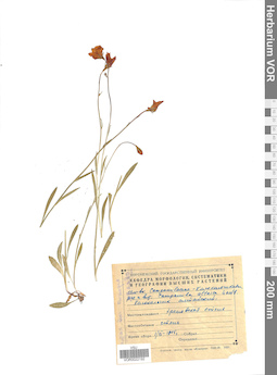 VOR 0022192