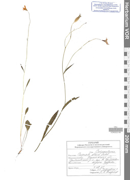 VOR 0022189