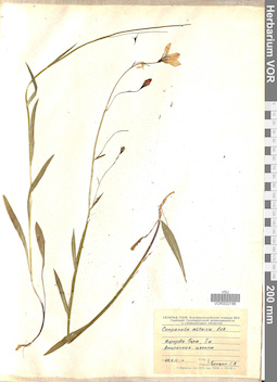 VOR 0022186