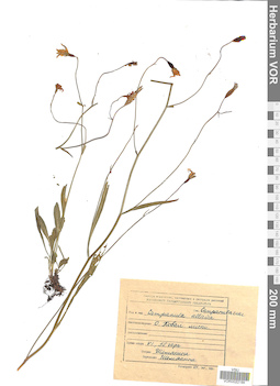 VOR 0022184