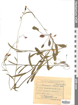 VOR 0022181