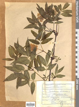 VOR 0021640