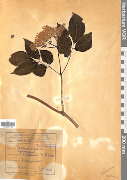 VOR 0021765