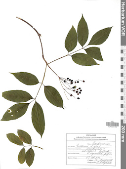 VOR 0021760