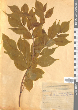 VOR 0021759
