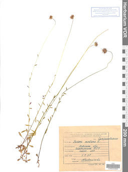 VOR 0022606