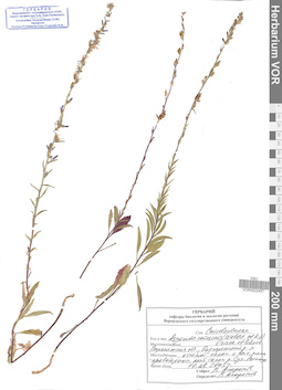 VOR 0022457