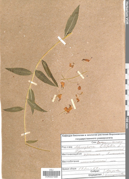 VOR 0021908