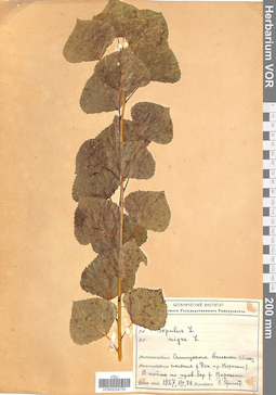 VOR 0024755