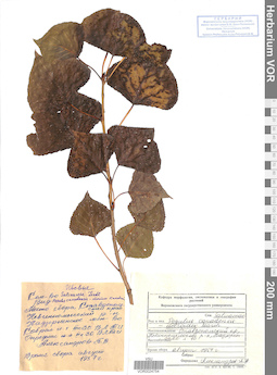 VOR 0024754