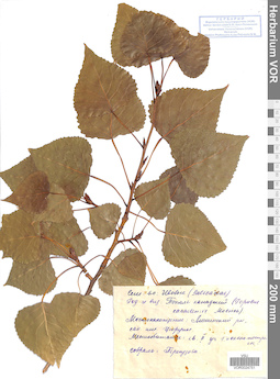 VOR 0024751