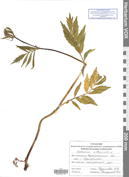VOR 0021792