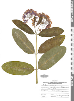 VOR 0042211