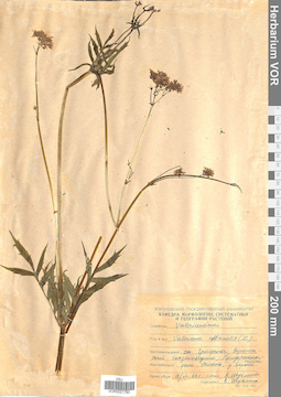 VOR 0021780