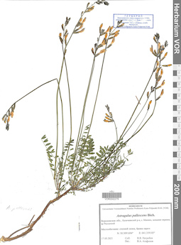 VOR 0042279