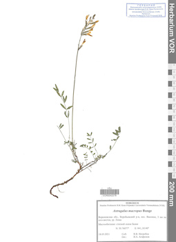 VOR 0042278