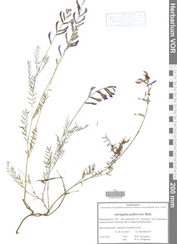 VOR 0042276