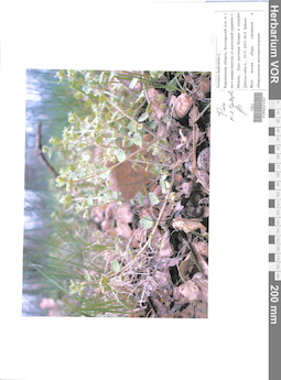 VOR 0021057