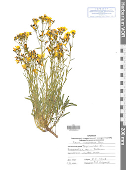 VOR 0042314