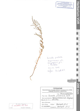 VOR 0022901