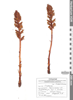 VOR 0020473