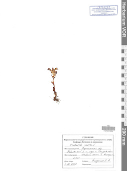 VOR 0019094