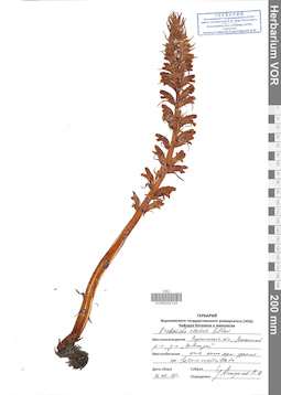 VOR 0042143