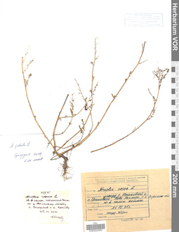 VOR 0024930