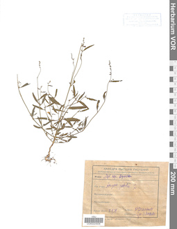 VOR 0024936