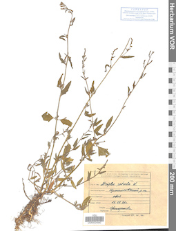 VOR 0024940