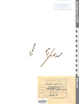 VOR 0024952