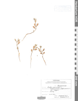 VOR 0024914