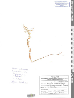 VOR 0024916