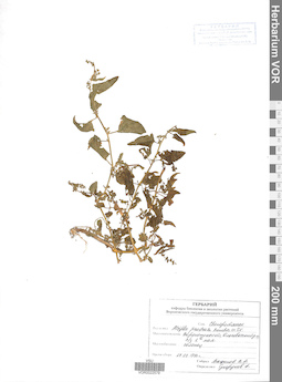 VOR 0022579