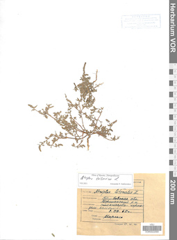 VOR 0022565