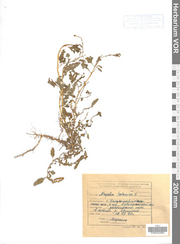 VOR 0022885