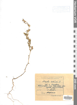 VOR 0022895
