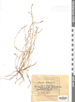 VOR 0022902